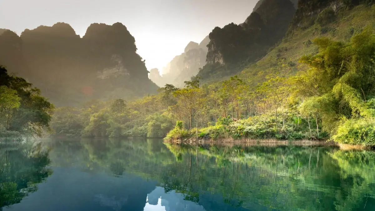 高精度可靠性自动化